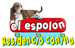residencia canina con licencia en Madrid