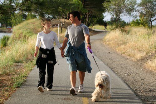 Técnicas adiestramiento canino